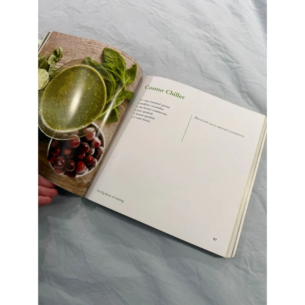The Big Book of Juicing 150+ Recipes Skyhorse Publishing Paperback 2017 B-76